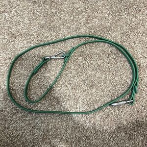 Wild One Dog Leash - spruce